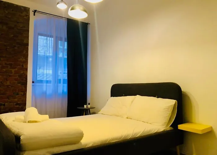 Joy 9mai * Timişoara