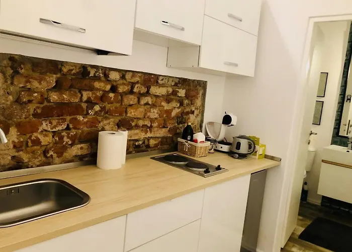 Joy 9mai * Timişoara